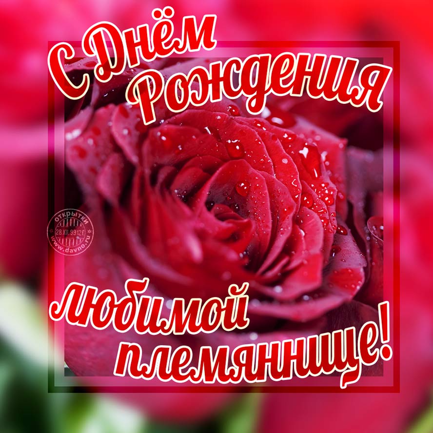 Поздравление с днём рождения племяннице от тёти. С днём рождения племянница п...