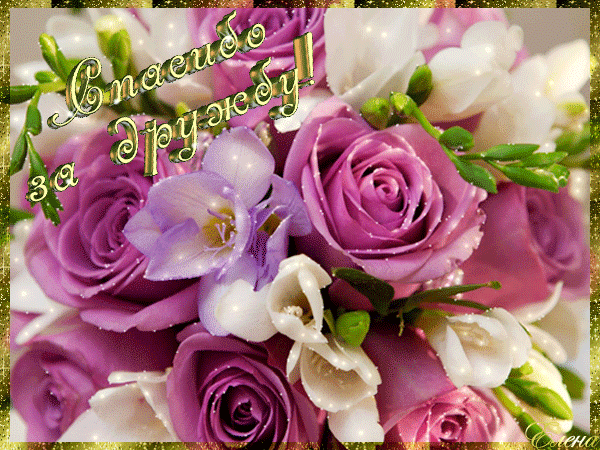 Поздравительная открытка о дружбе. Картинка о дружбе. Картинка с надписью о д...