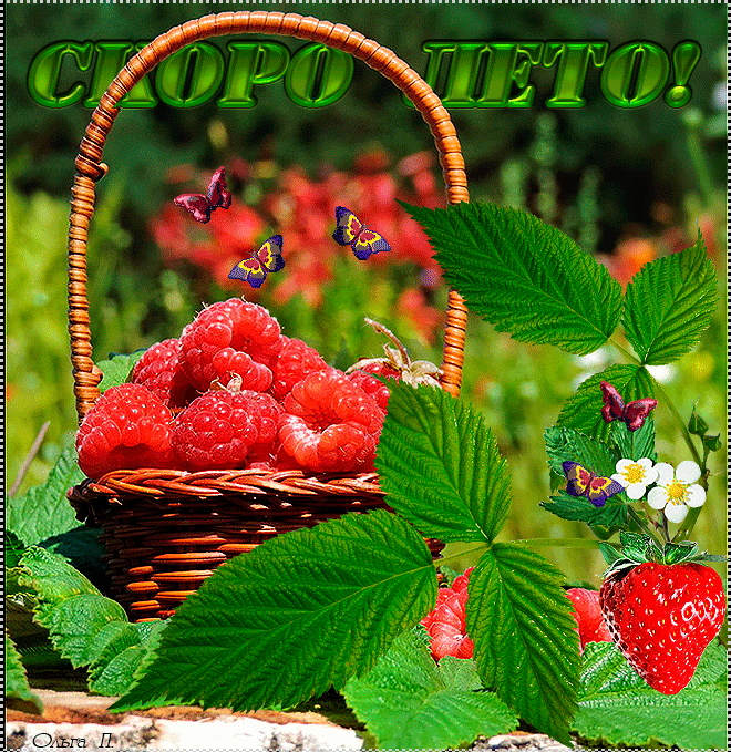 Детские стихи про лето с картинками. Картинки про лето. Картинки приколы про ...