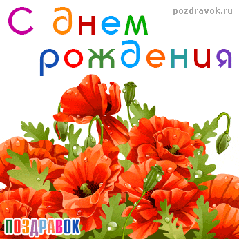 Открытка с нежностью и любовью с сердцем из красных Маков и Ромашки в ладонях.