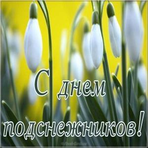 Открытки гиф подснежники. Картинки на день подснежника. Гиф картинки с днем п...
