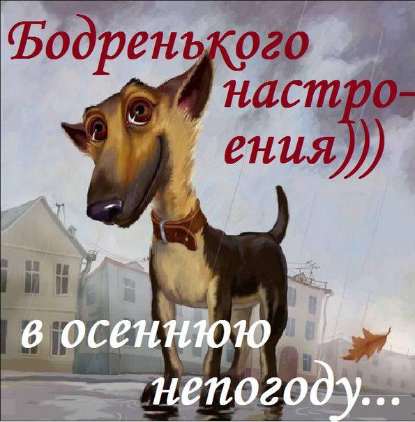 Открытка хорошей погоды на выходные. Открытка про погоду. Открытки про погоду.
