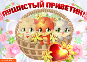 Открытка Солнечный вам привет! Открытка Привет тебе вот такой огромный!