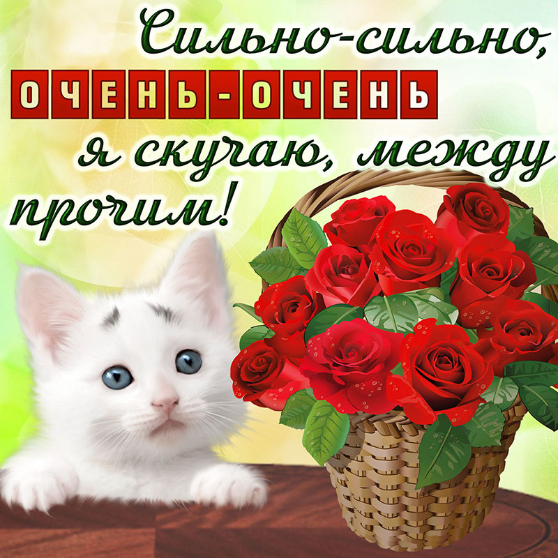 Открытка для мамы ко Дню рождения с красными розами. Открытка Спасибо за позд...