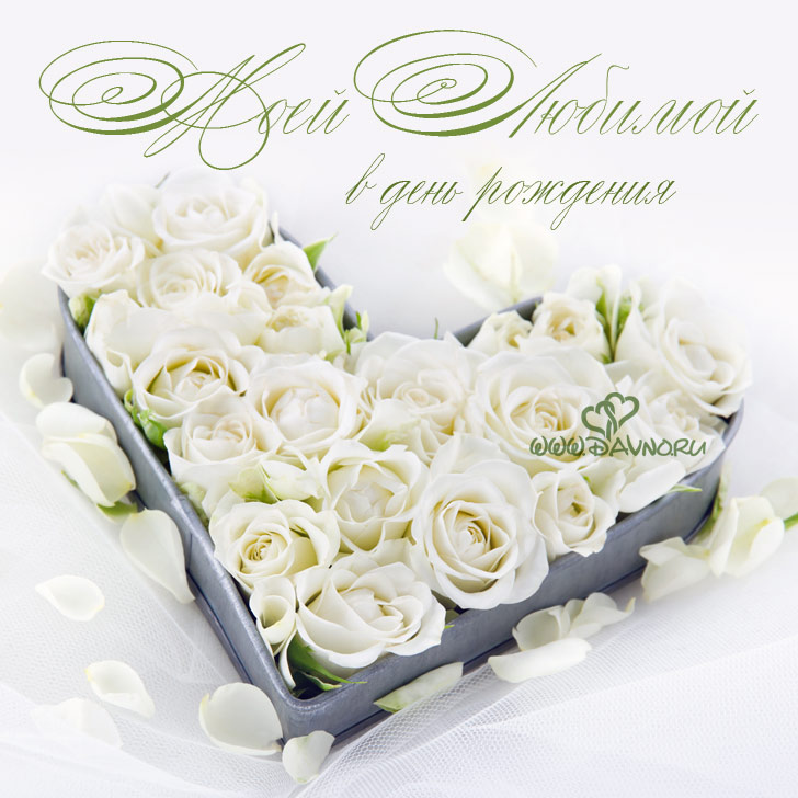 Открытки с 8 марта с белыми розами, открытка с днём рождения с белыми розами.