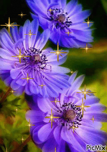 Открытка тебе в подарок Василёк добра и радости цветок. Открытка будь любимой...