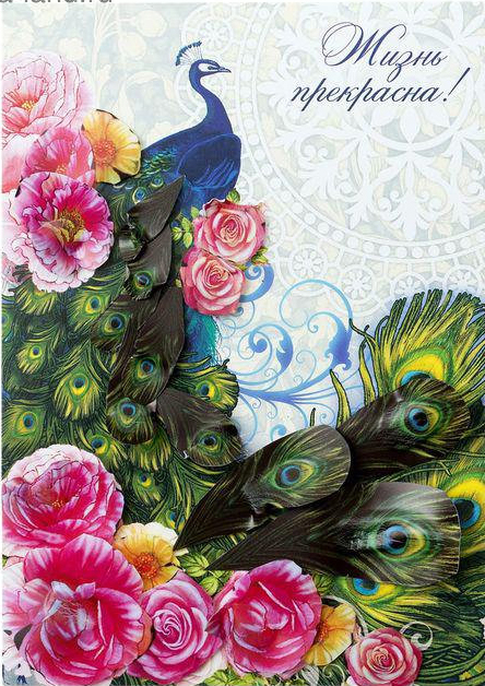 Павлин открытки рисунки. Открытка павлин с распущенным хвостом.