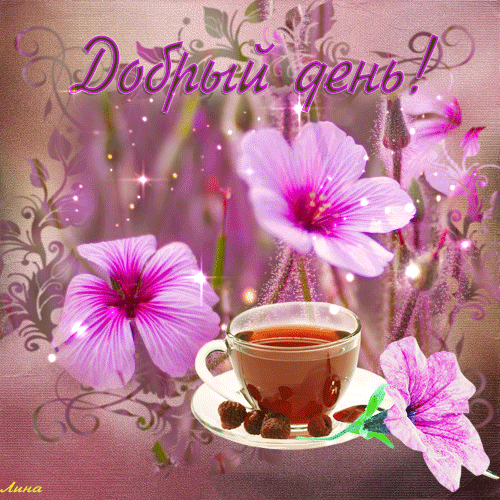 Пожелания хорошего дня картинки. Добрый день любимая красивые картинки добрый...
