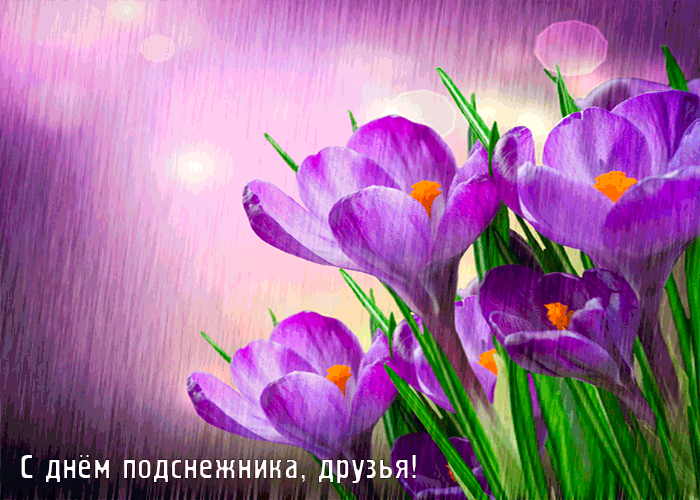 Открытки с Днем рождения подснежники. Показать открытки с Днем подснежника.