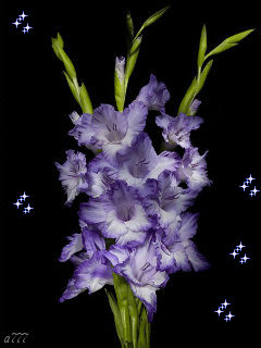 Открытка розовые гладиолусы и розовые сердечки на сером фоне.