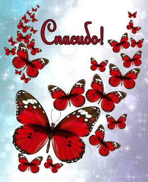 Открытка с четверостишьем Спасибо! Открытка Спасибо за тёплые слова!