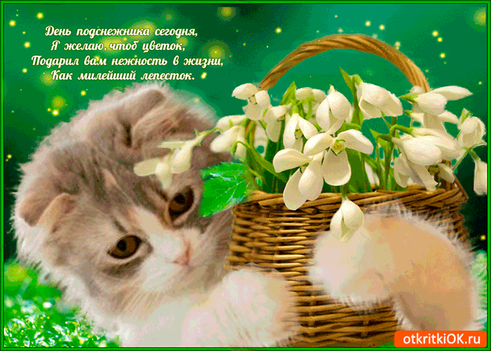 Показать открытки с Днем подснежника. Открытки поздравления с днем подснежника.