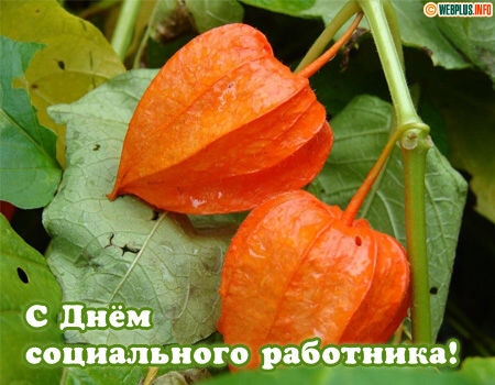 Картинка С днем социального работника. Картинки поздравления с днем социально...