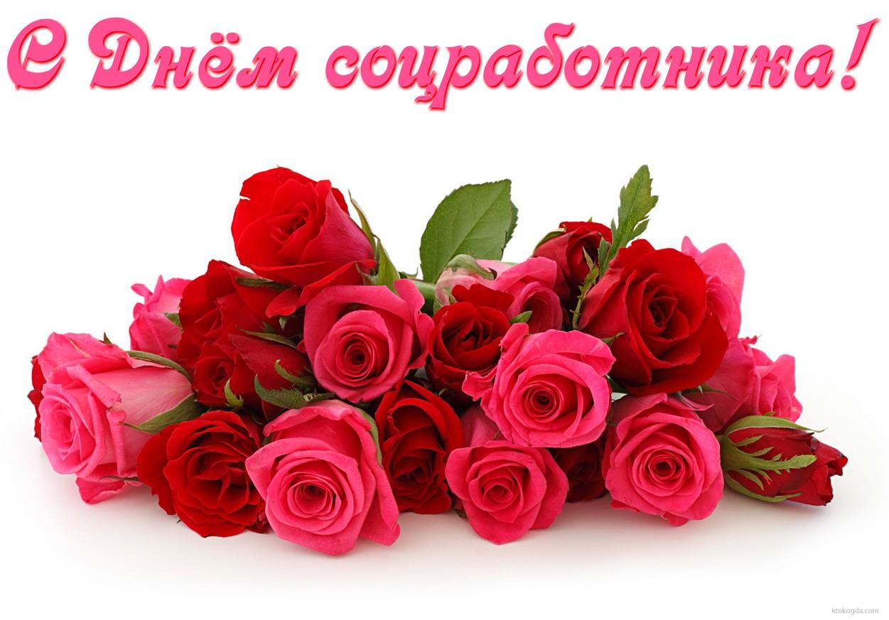 Прикольные открытки с Днем социального работника. Открытки поздравления с дне...