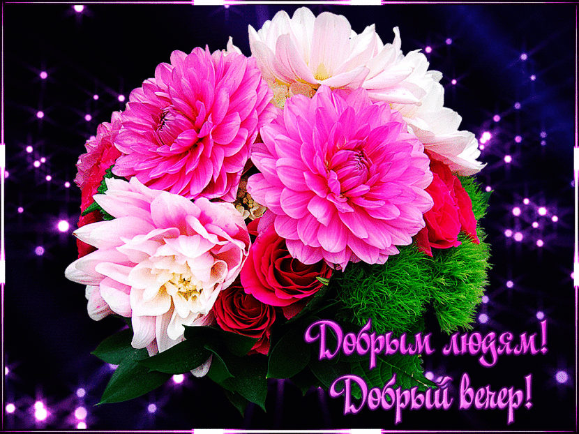 Картинка анимация Добрый вечер. Картинка Всем добрый вечер. 