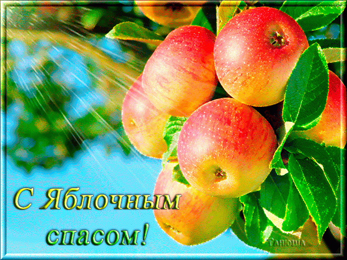 Картинка яблоня с яблоками. Картинка ежик с яблоком. Картинка дерево с яблоками.