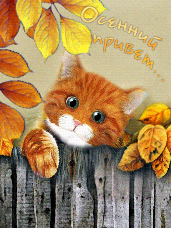 Открытка осенний Привет. Картинки осенний Привет. Картинки скачать бесплатно ...