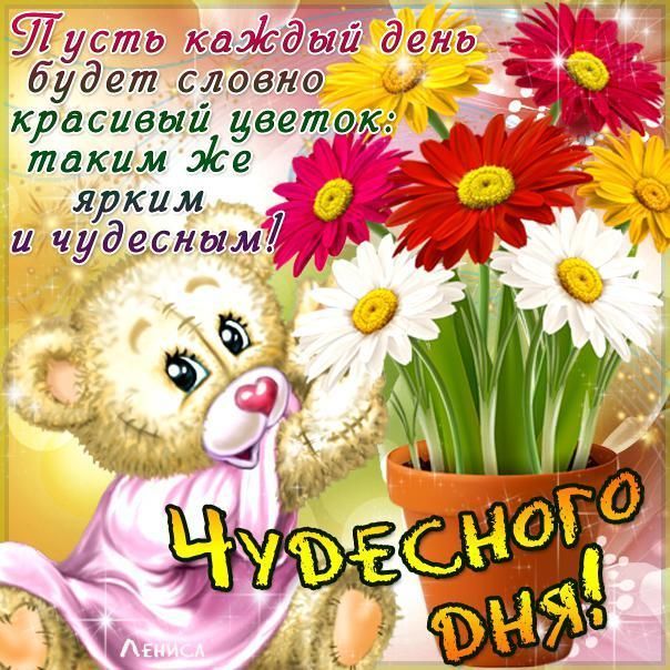 Картинки добрый день скачать бесплатно. Добрый день открытки.