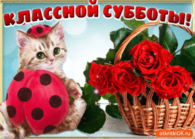 Открытка чудесного субботнего денёчка! Открытка с субботой. 