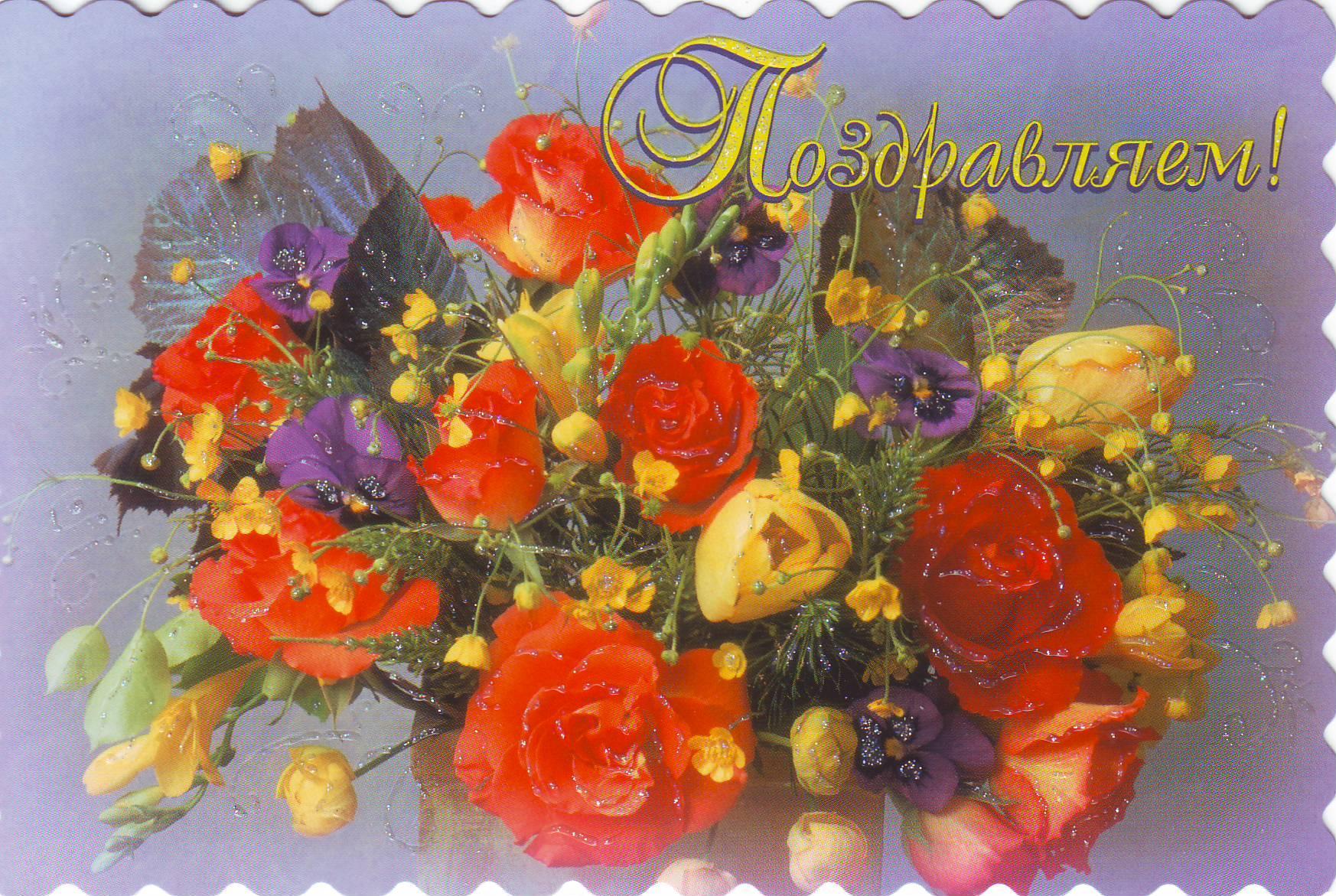  Как открытка поздравляю тебя с мишкой Тедди. Открытка Поздравляю с розовой р...