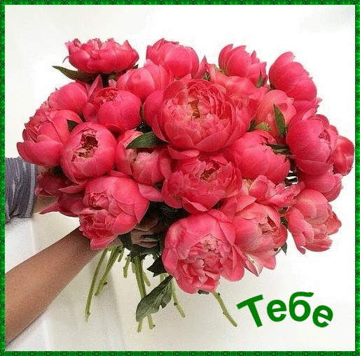 Открытка на день рождения букет пионов в газете. Открытка ко Дню рождения роз...