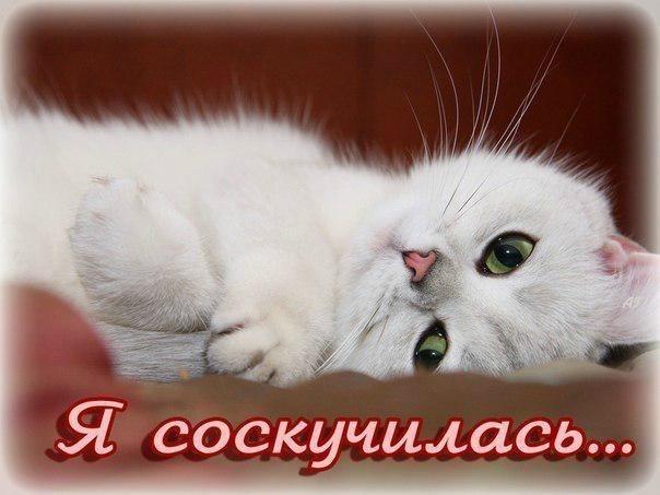 Открытка Я скучаю любимый. Открытка Я скучаю по тебе на английском.