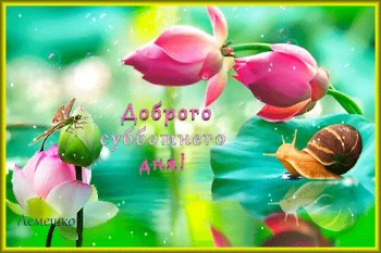 Открытка мерцающая светящиеся белый лотос. Открытка розовый Лотос сверкает.