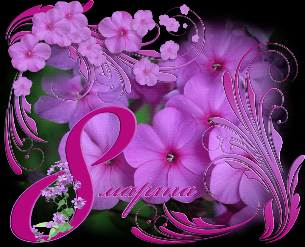 Открытка с праздником 8 марта! Открытки с красной розой. Открытки с персонажа...