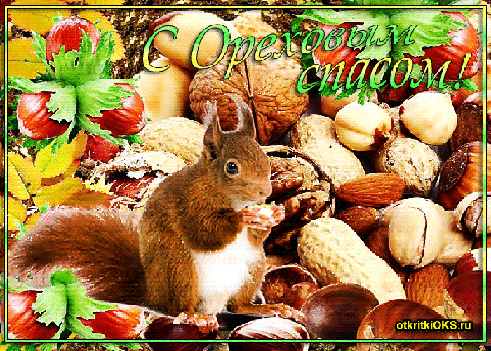 Открытка ты горстку орехов скорей освети чтоб в дом свой добро и любовь прине...