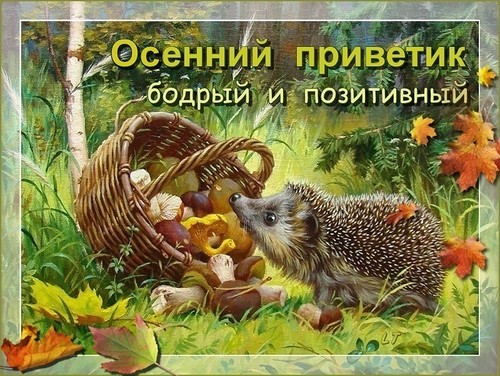 Картинка осенний Привет. Картинка осенний Приветик. открытка с приветствиями.