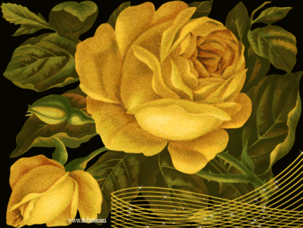 Открытка с пожеланиями Солнечный теплый привет от меня с жёлтыми розами.