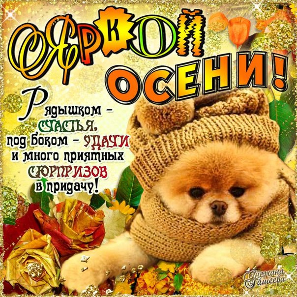 Картинка с первым днём осени. Картинки поздравления с первым днём осени.