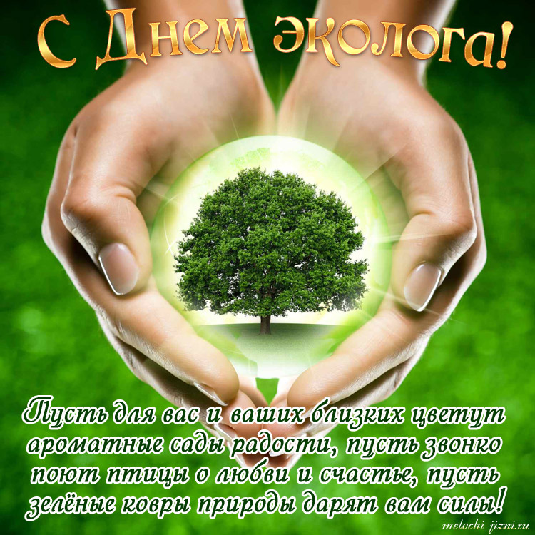 Открытка день эколога. Красивые открытки с Днем эколога. Бесплатно открытки С...