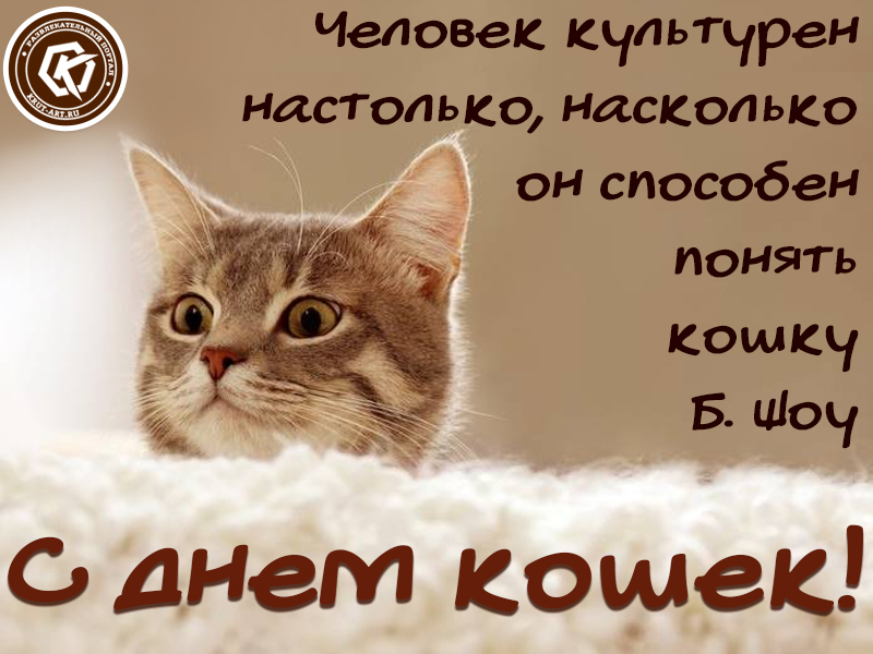 Скачать картинку с Днём кошки. Прикольные открытки с Днем кошек.