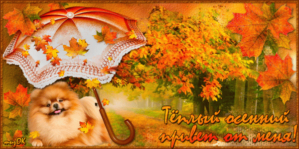 Открытка осенний Привет. Картинки осенний Привет. Картинки скачать бесплатно ...