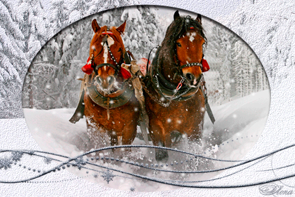 Открытка с красивым конём к Новому году. Открытки с лошадьми.