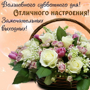 Открытки с субботой прикольные. Открытки с субботой бесплатно.