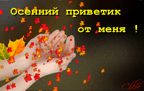 Картинка осенний Привет. Картинка осенний Приветик. открытка с приветствиями.