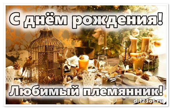 С днём рождения! Открытка со стихами для племянника на день рождения.