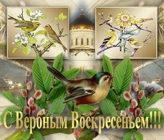 Картинки поздравления с вербным воскресеньем скачать. Картинки Поздравляю с в...