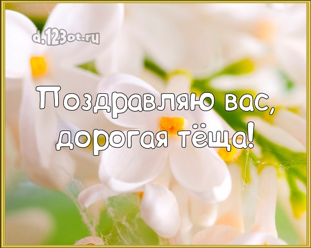 Скачать картинки С днём рождения тёщу. С днём рождения любимая тёща картинки.