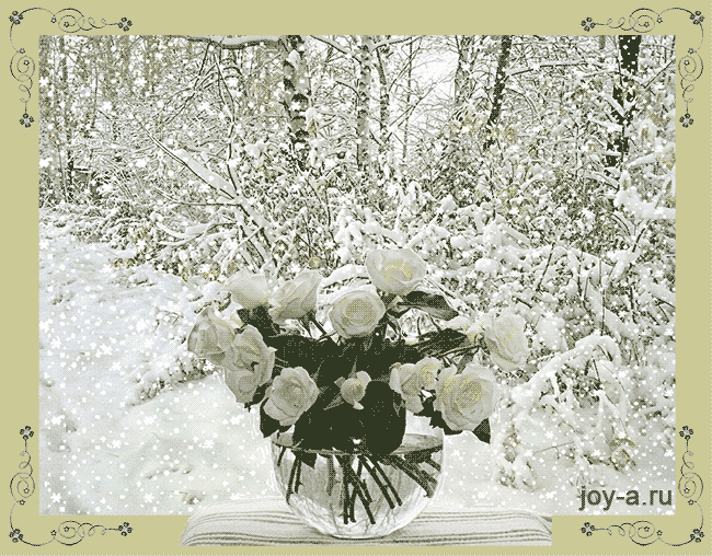 Фото белых роз дома. Белые розы букет открытка. Открытка Белые розы в руках.