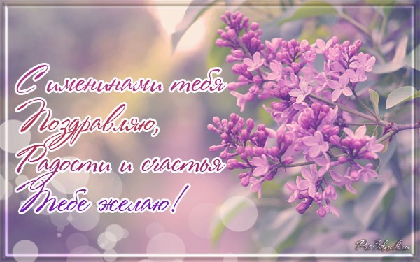 Поздравительные открытки с сиренью. Картинка с сиренью. Красивая картинка с сиренью.