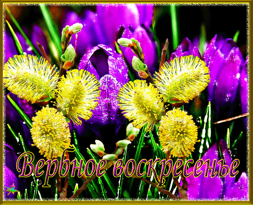 Скачать картинку с наступающим вербным воскресеньем. Ретро открытки с вербным...