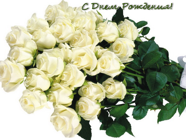 Открытка с одной белой розой. Открытка Белые розы в вазе.   