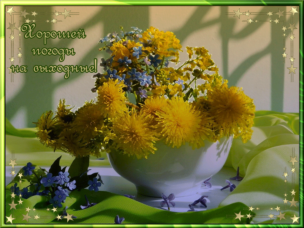 Открытка хорошей погоды картинки. Смешные картинки про холодную погоду.