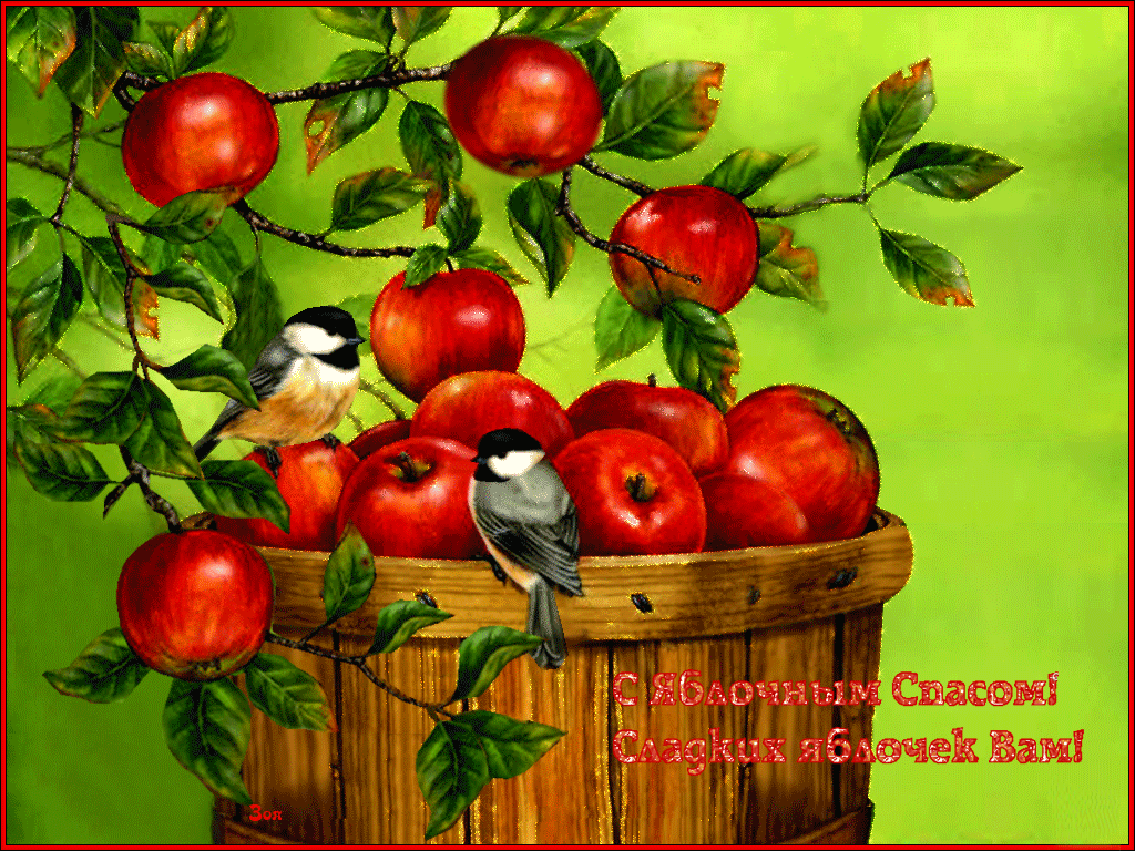 Открытка с яблочным Спасом бесплатно. Открытка с яблочным Спасом скачать бесп...