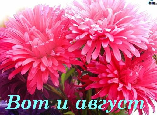 Открытка Астры для тебя. Ретро открытка С Днём рождения С астрами.