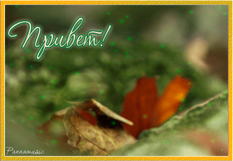 Открытка с белой кошкой Привет Как как открытка медвежонок в Малине Привет ма...