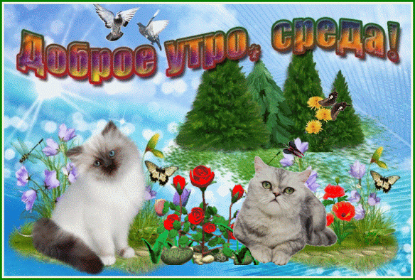 Среда мерцающие картинки